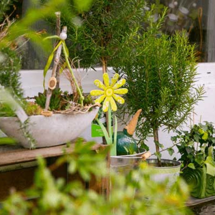 Beispielarbeit von flower dreams - veröffentlicht auf Gartenbau.org