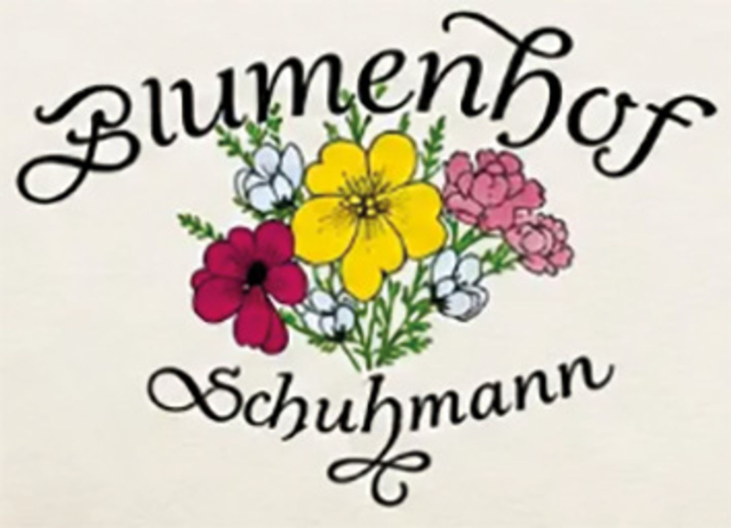 Logo der Firma Blumenhof Schuhmann aus Großheubach auf dem Branchenportal Gartenbau.org