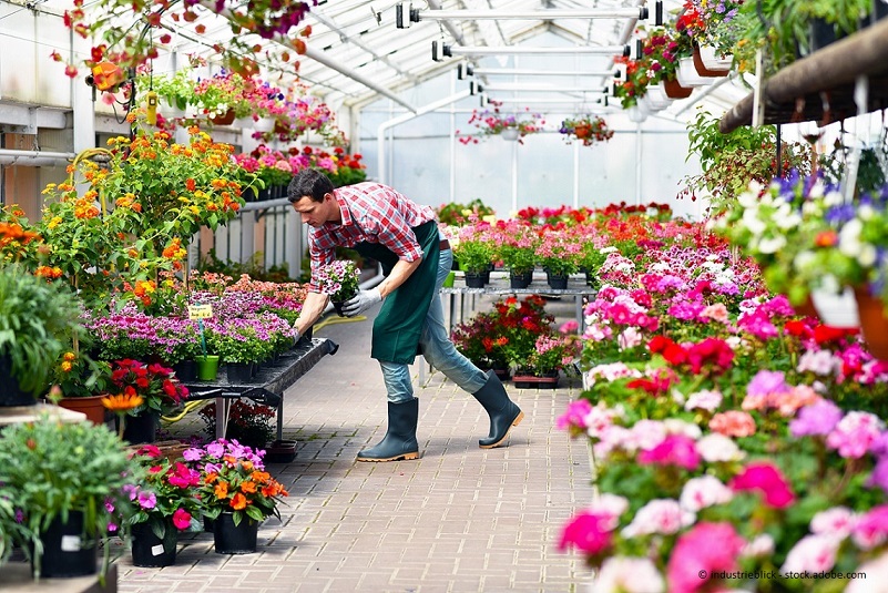 Beispielarbeit von Blumen Hauke - veröffentlicht auf Gartenbau.org
