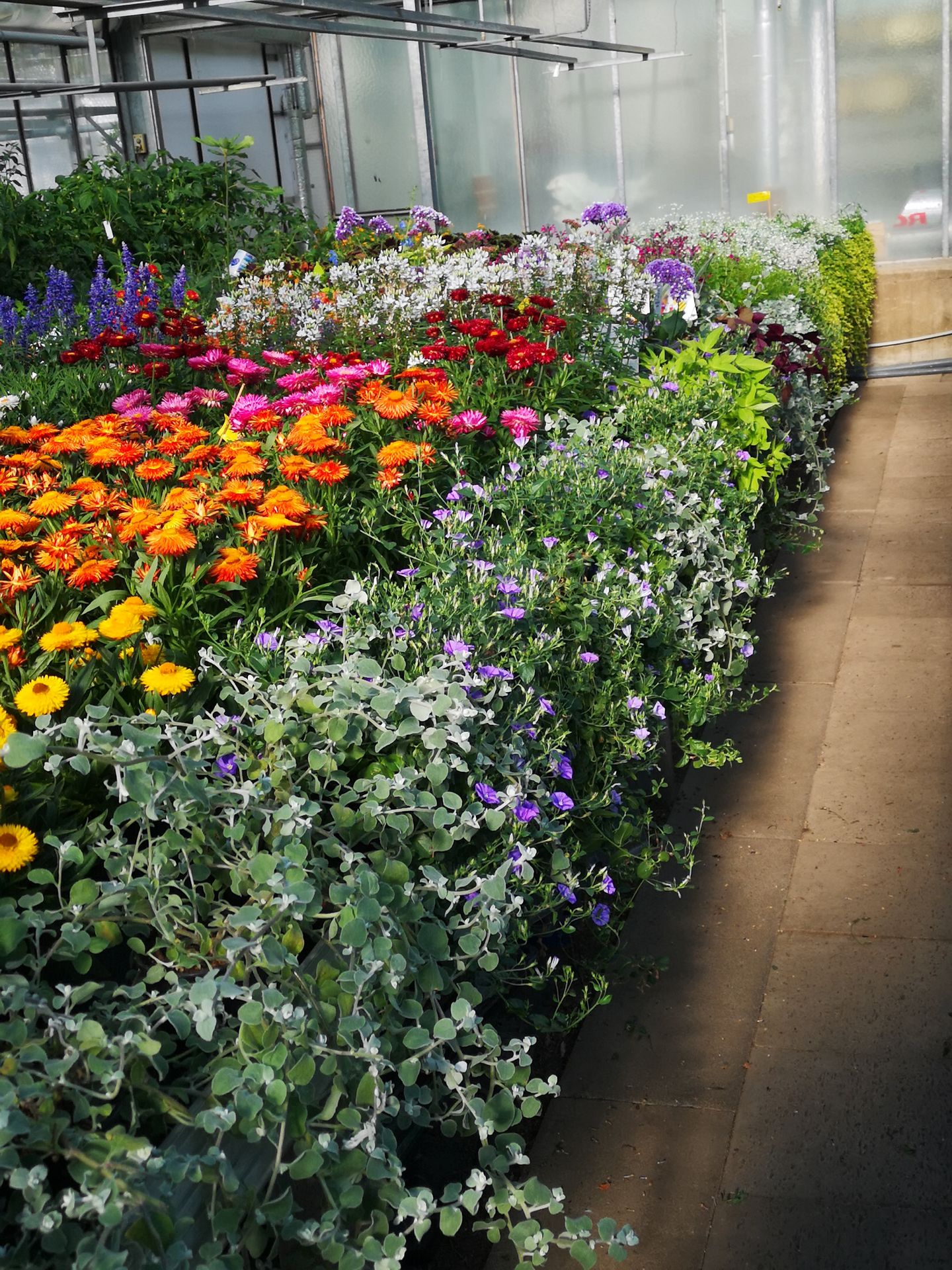 Beispielarbeit von Blumen Böswirth | Gärtnerei Pfaffenhofen - veröffentlicht auf Gartenbau.org