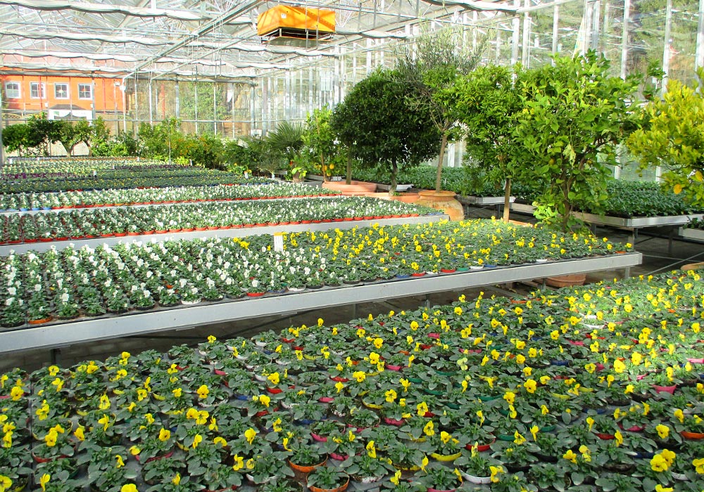 Beispielarbeit von Gärtnerei Trögl - veröffentlicht auf Gartenbau.org