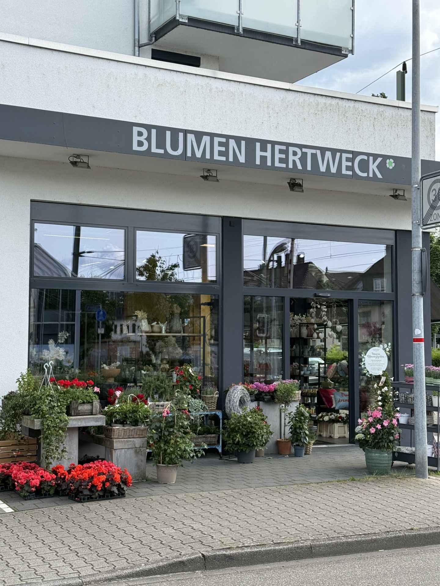Beispielarbeit von Blumen Hertweck - veröffentlicht auf Gartenbau.org