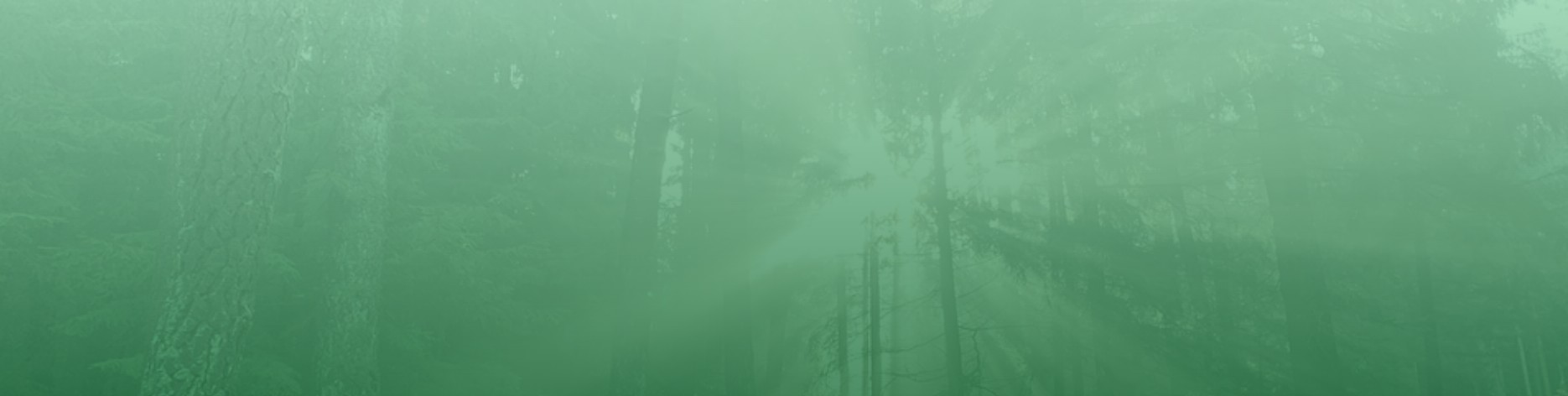 Tannen-Müller GmbH cover image