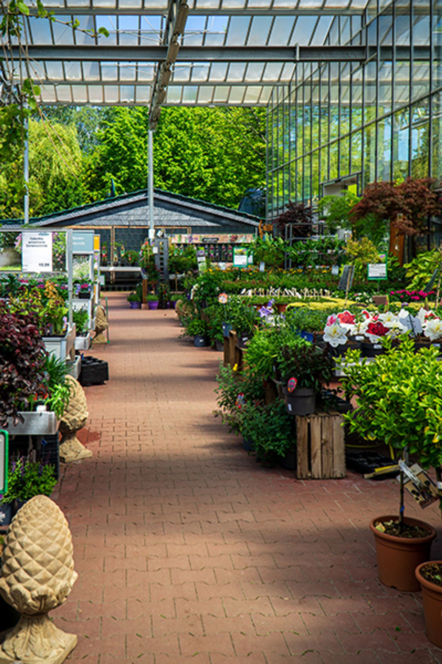 Beispielarbeit von Garten-Center Spiering GmbH Wesel - veröffentlicht auf Gartenbau.org