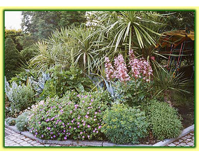 Beispielarbeit von ""Flora passionata'''' - veröffentlicht auf Gartenbau.org