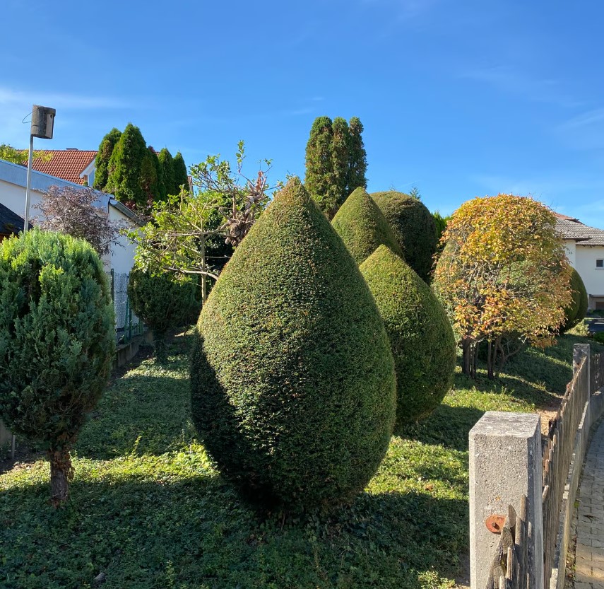 Beispielarbeit von R&J GaLaBau - veröffentlicht auf Gartenbau.org