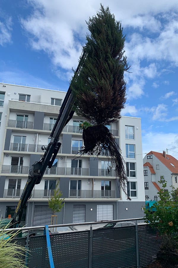 Beispielarbeit von Stein und Garten GmbH - veröffentlicht auf Gartenbau.org