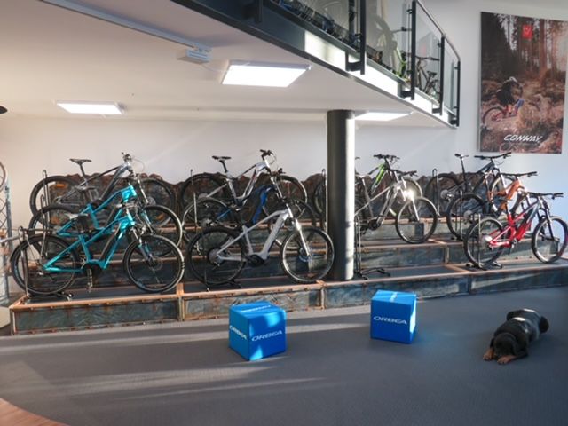 Beispielarbeit von MF Bikes - veröffentlicht auf Fahrradreparatur.org