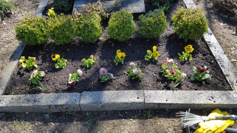 Beispielarbeit von Landschaftspflege Daniel - veröffentlicht auf Gartenbau.org
