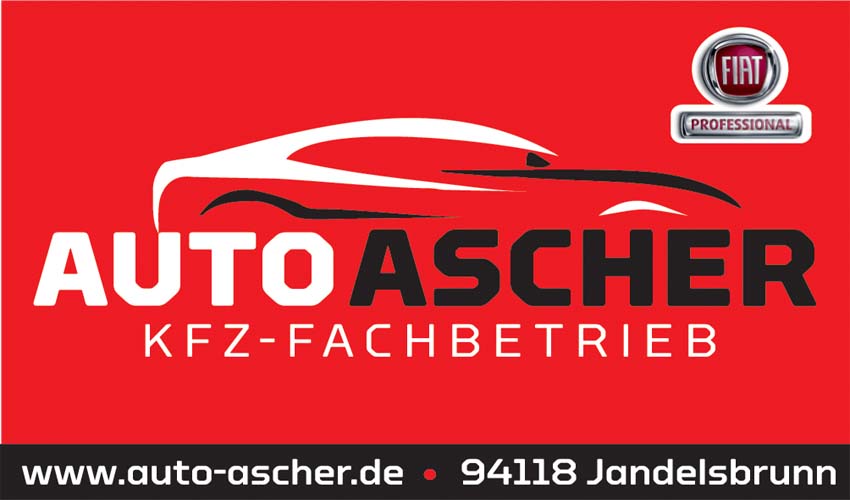 Beispielarbeit von Auto Ascher GmbH & Co. KG - veröffentlicht auf Auto-Werkstatt.de