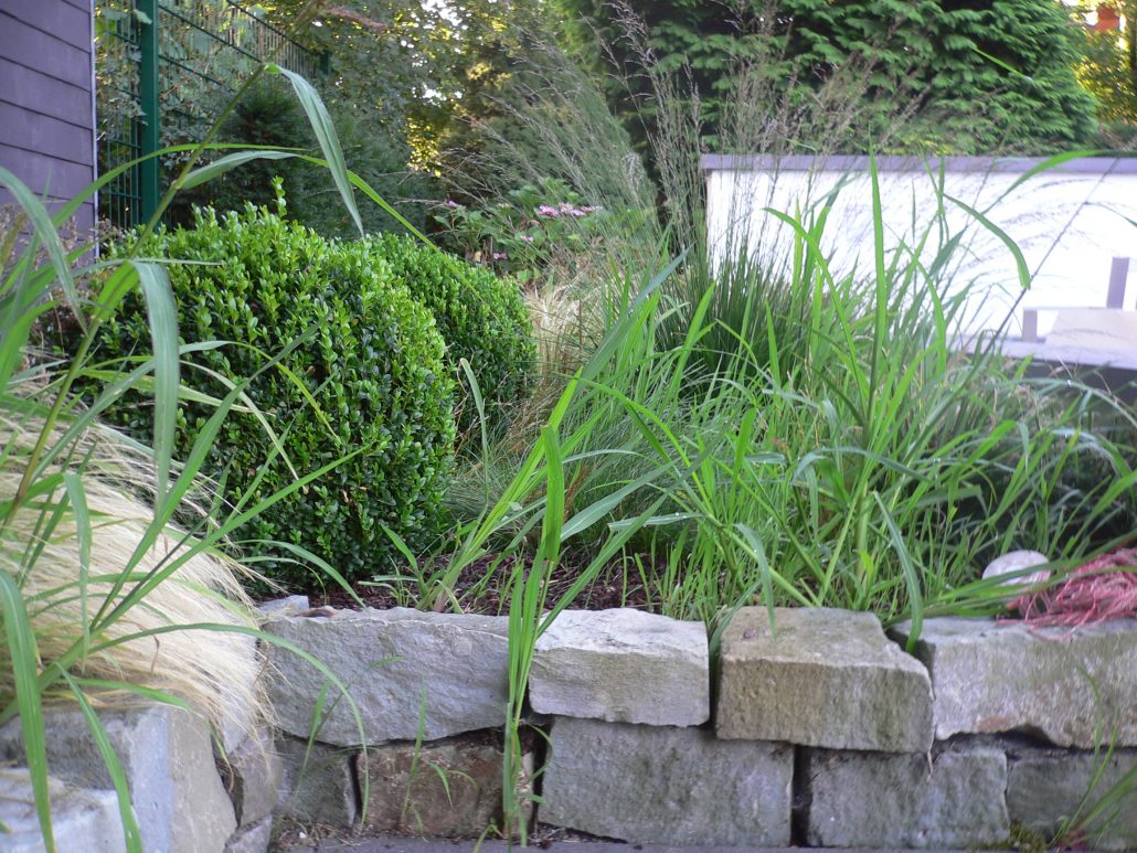 Beispielarbeit von Ferdinand Peun - Gartengestaltung mit Pfiff - veröffentlicht auf Gartenbau.org