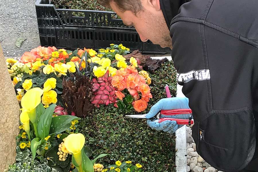 Beispielarbeit von Gärtnerei Strauß Inhaber Florian Strauß - veröffentlicht auf Gartenbau.org