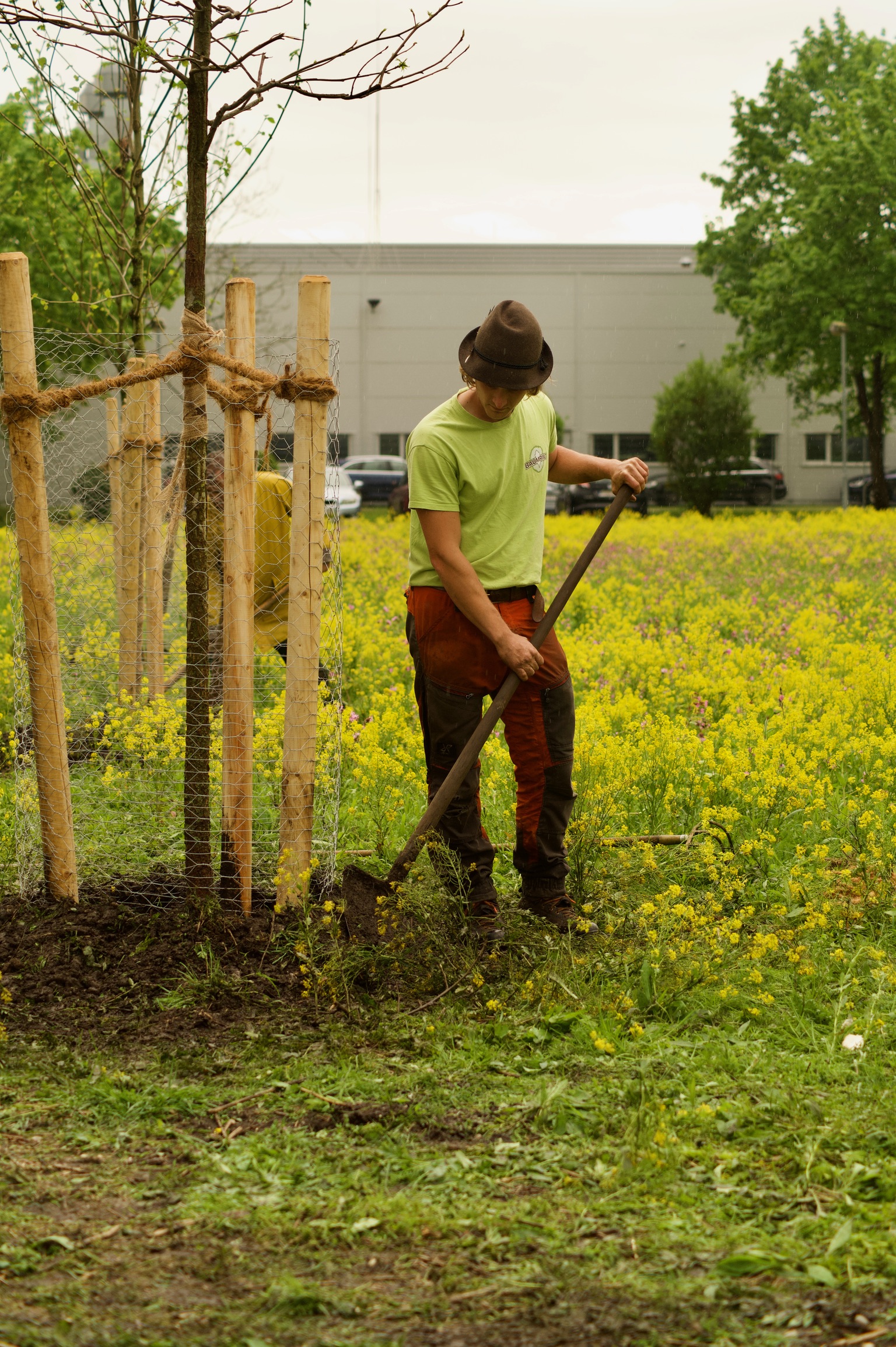 Beispielarbeit von Baumpflege Baumring - veröffentlicht auf Gartenbau.org
