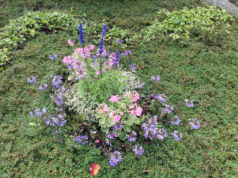 Beispielarbeit von Gärtnerei Marcus Dornauer - veröffentlicht auf Gartenbau.org