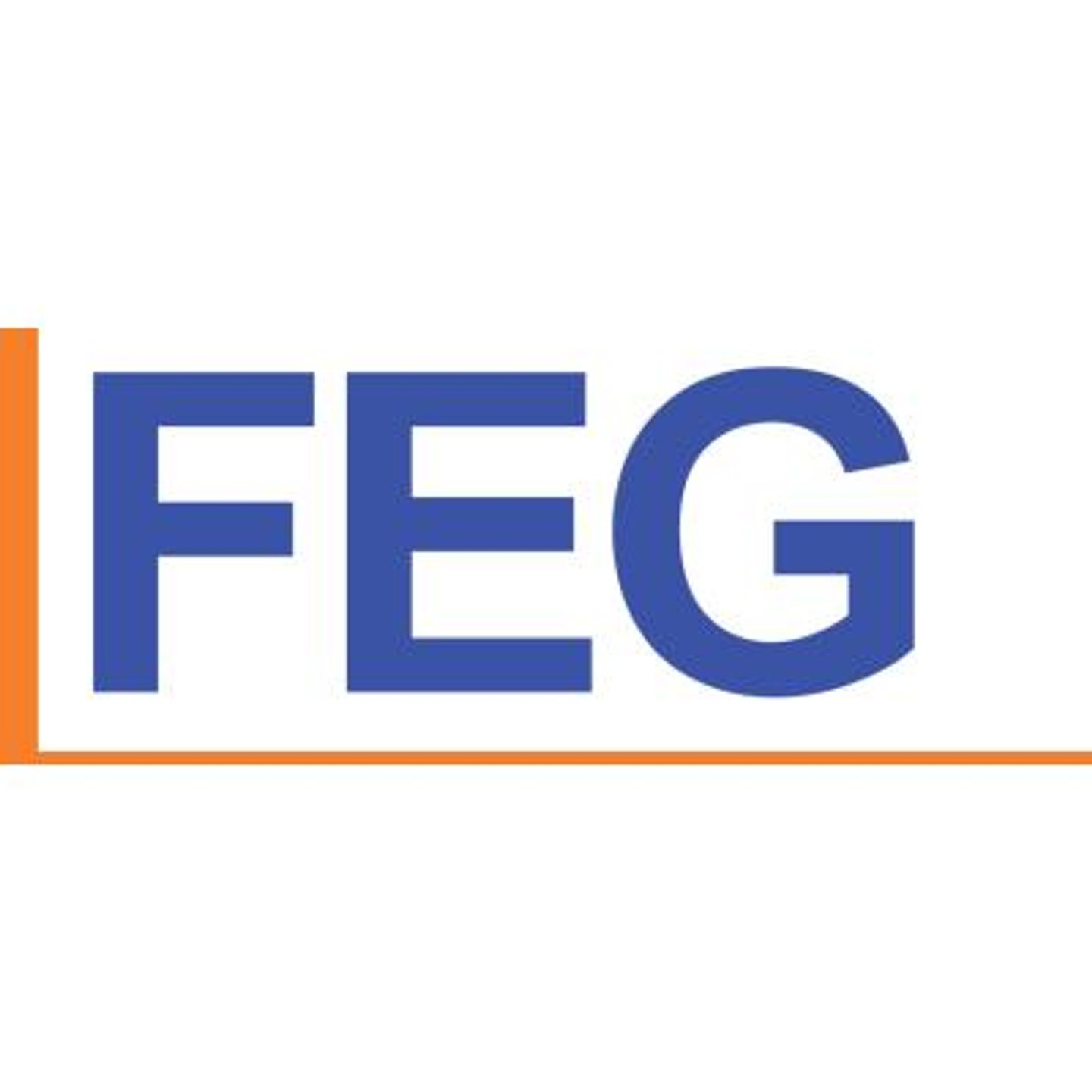 Logo der Firma FEG Elektrobau GmbH aus Naila auf dem Branchenportal Elektriker.org