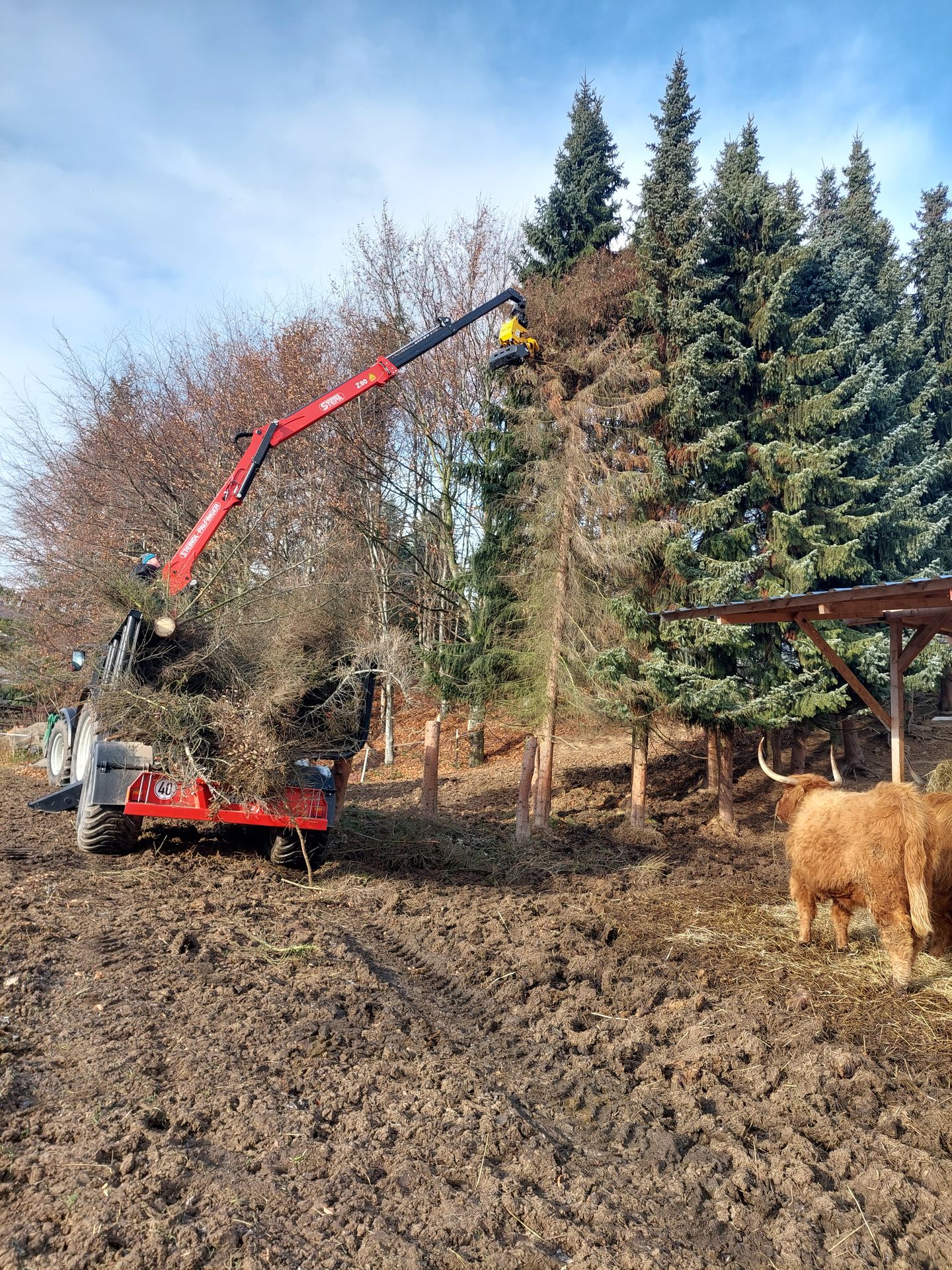 Beispielarbeit von Landschaftspflege Daniel - veröffentlicht auf Gartenbau.org