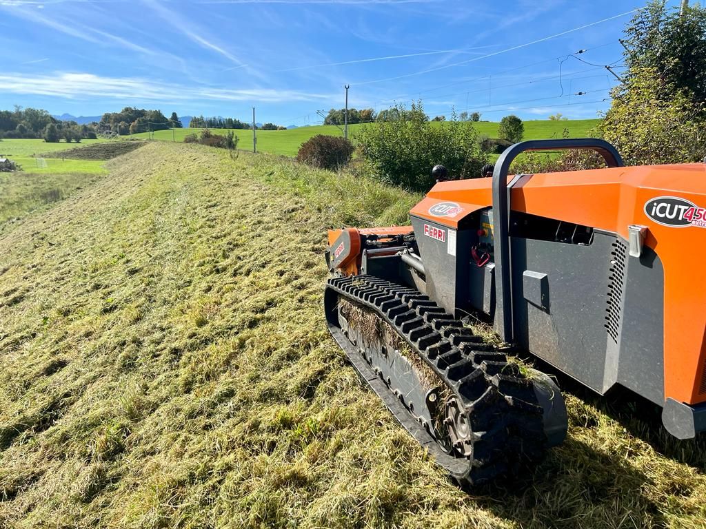 Beispielarbeit von BICHLMEIER Landschaftspflege - veröffentlicht auf Gartenbau.org