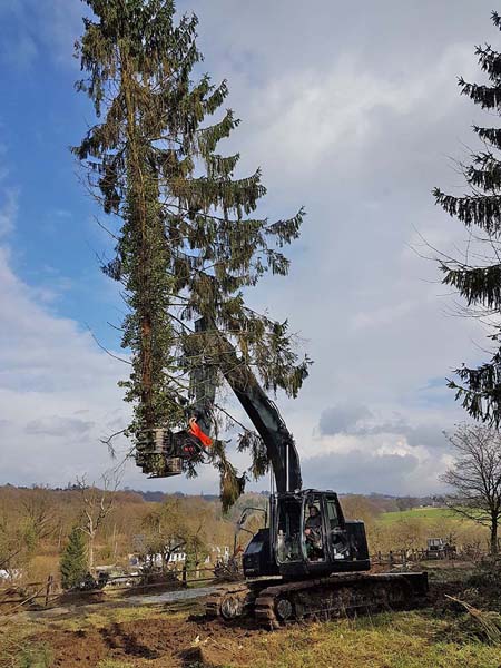 Beispielarbeit von Duwenhorst René Garten-Landschaftsbau-Tiefbau - veröffentlicht auf Bauunternehmen.org