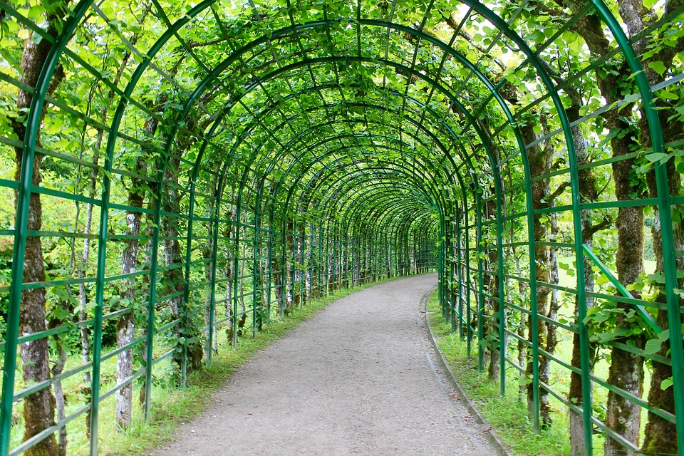 Beispielarbeit von Gartenpflege Birke - veröffentlicht auf Gartenbau.org