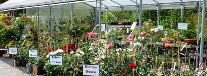 Beispielarbeit von PREMM | Garten- und Landschaftsbau, Baumschule - veröffentlicht auf Gartenbau.org