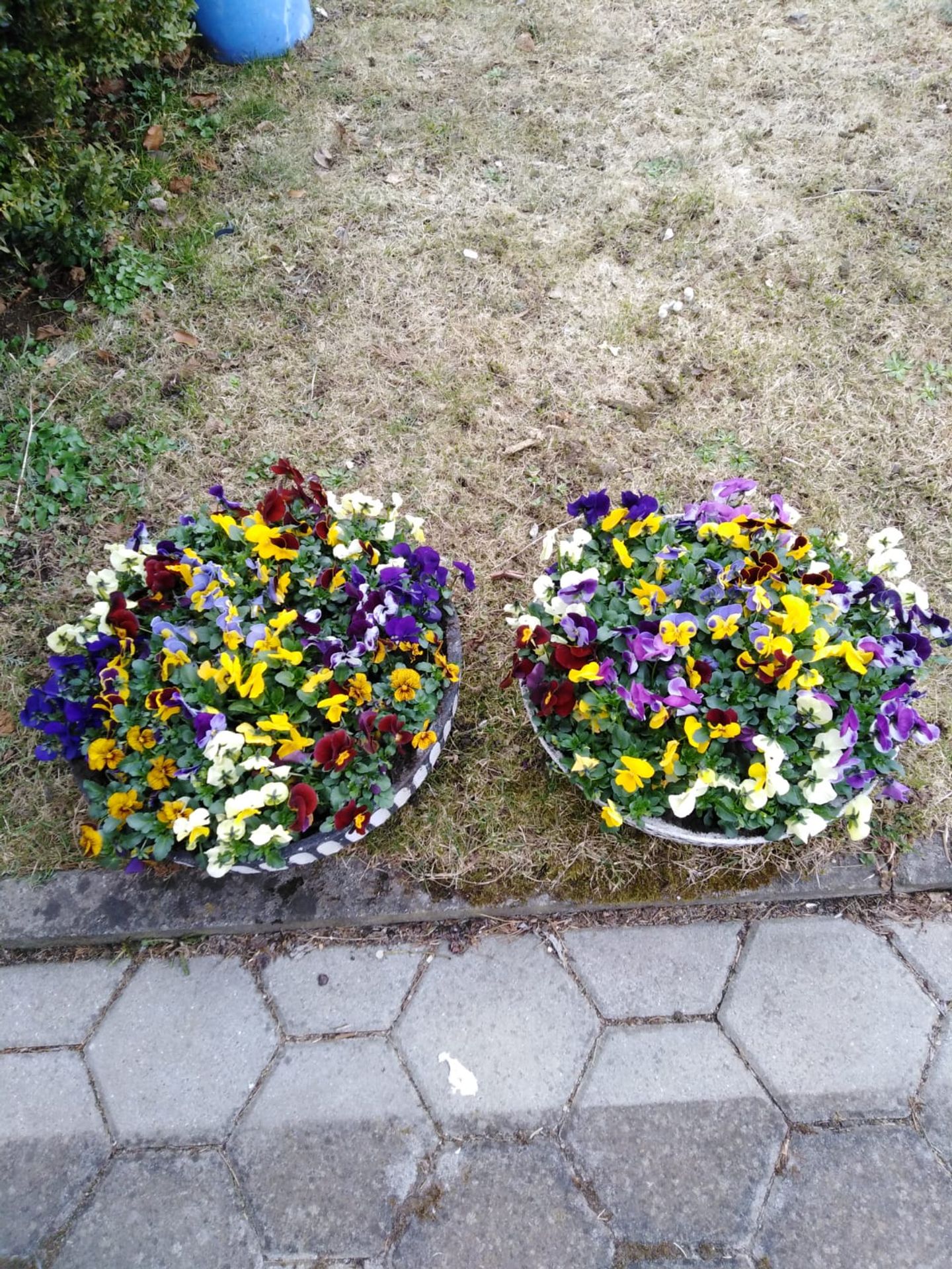 Beispielarbeit von Blumen & Floristik Kraus - veröffentlicht auf Gartenbau.org