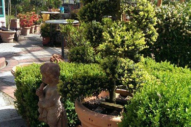 Beispielarbeit von Enzo Giardino - veröffentlicht auf Gartenbau.org