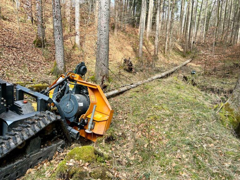 Beispielarbeit von BICHLMEIER Landschaftspflege - veröffentlicht auf Gartenbau.org