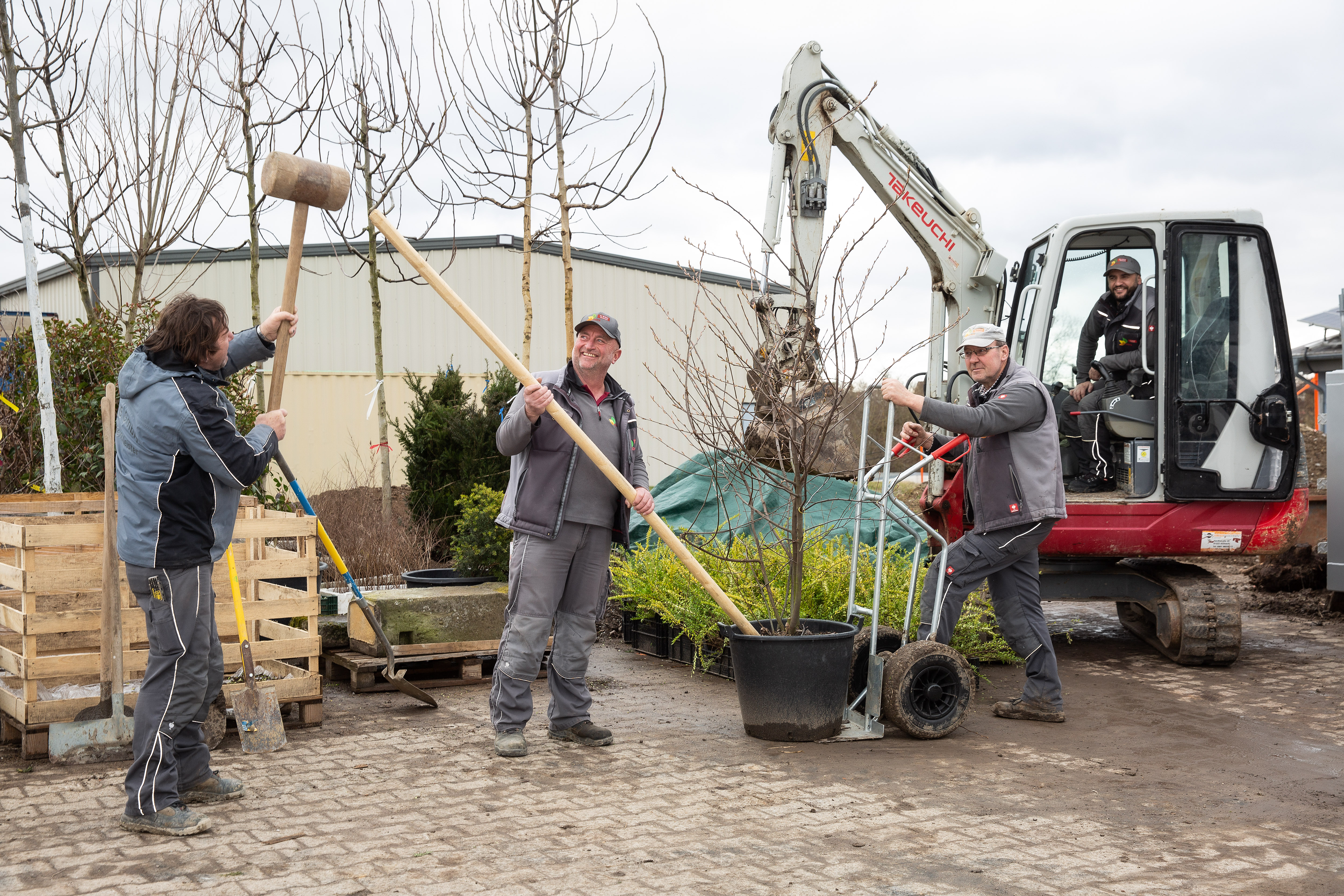 Beispielarbeit von OMS GmbH - veröffentlicht auf Gartenbau.org