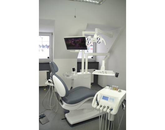 Dr. Miriam Basel - GALLERY