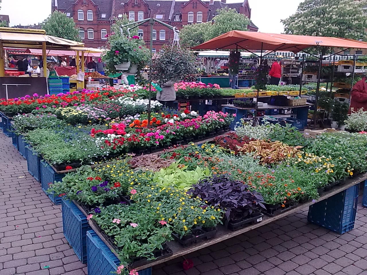Beispielarbeit von Gärtnerei Gerhardt - veröffentlicht auf Gartenbau.org