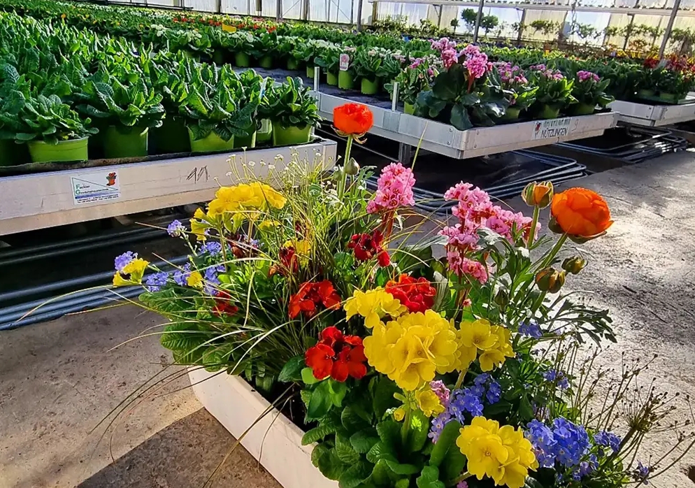 Beispielarbeit von Stefan Wagner GmbH - Gärtnerei, Gartenpflege & Gestaltung - veröffentlicht auf Gartenbau.org