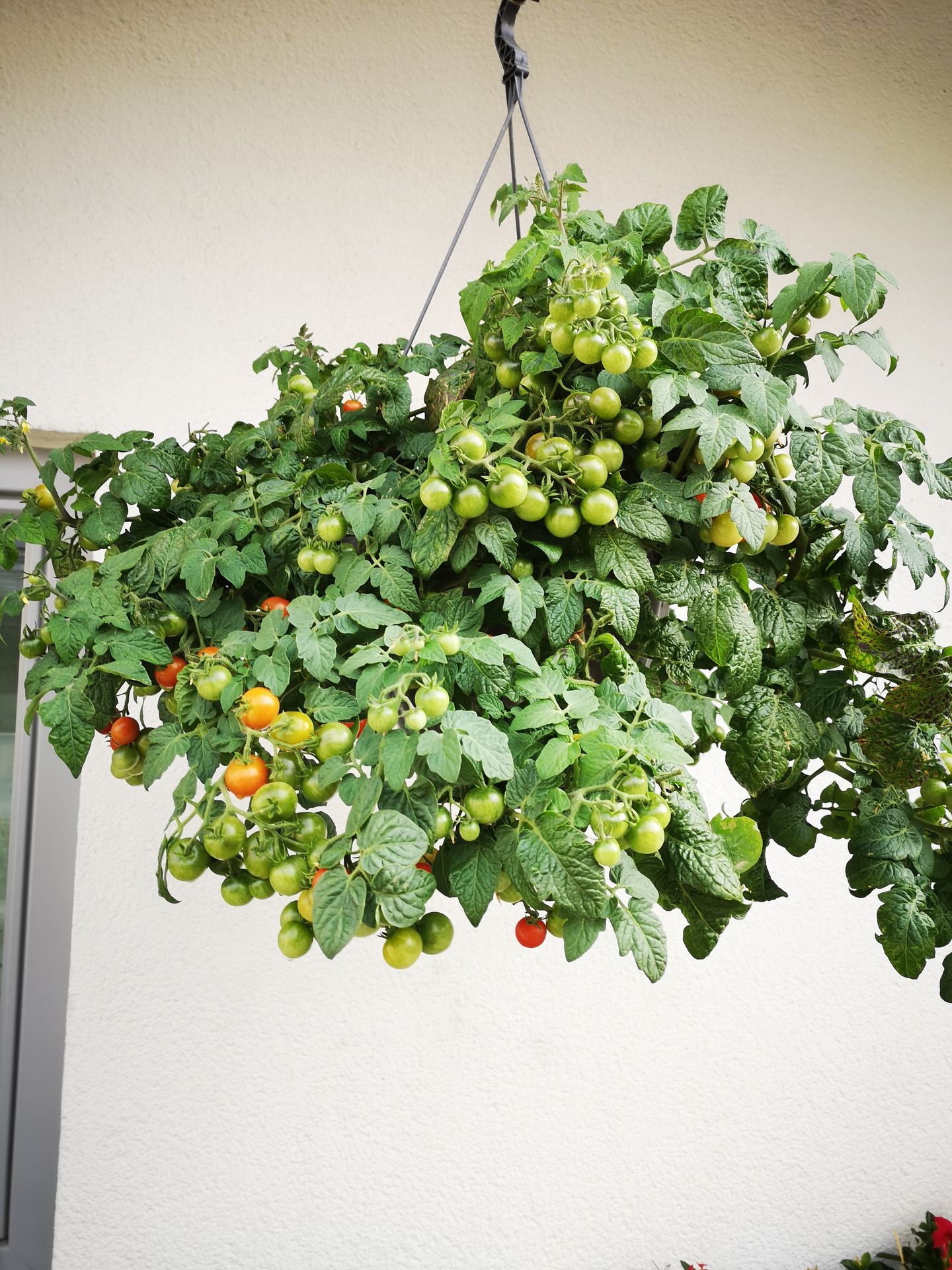 Beispielarbeit von Blumen Böswirth | Gärtnerei Pfaffenhofen - veröffentlicht auf Gartenbau.org