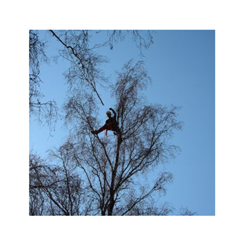 Beispielarbeit von Reitmayr Gartengestaltung GmbH - veröffentlicht auf Gartenbau.org