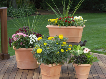 Beispielarbeit von Bauer Gärtnerei und Meisterbetrieb für Floristik - veröffentlicht auf Gartenbau.org