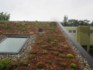 Beispielarbeit von Gurr Garten- und Landschaftsbau GmbH - veröffentlicht auf Gartenbau.org