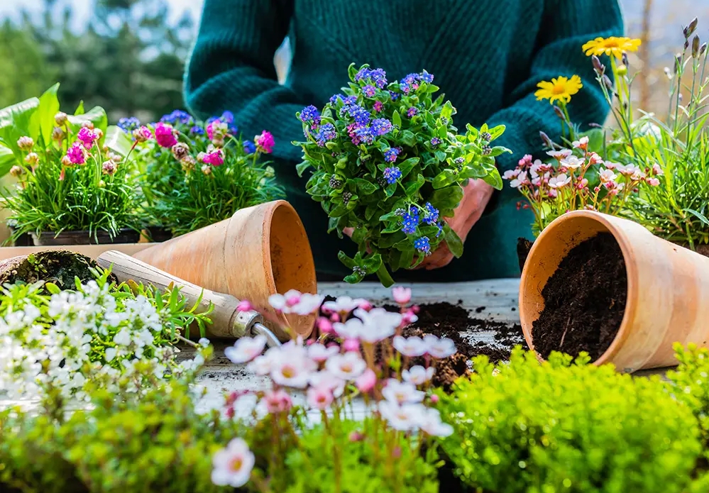 Beispielarbeit von Stefan Wagner GmbH - Gärtnerei, Gartenpflege & Gestaltung - veröffentlicht auf Gartenbau.org