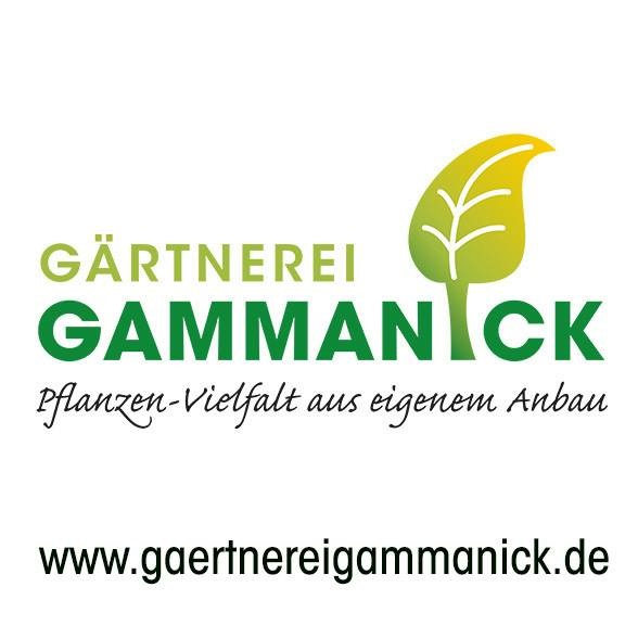 Beispielarbeit von Gärtnerei Gammanick GbR - veröffentlicht auf Gartenbau.org