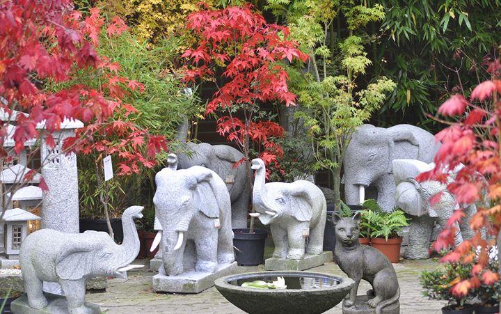 Beispielarbeit von Bambus-Kultur GmbH - veröffentlicht auf Gartenbau.org