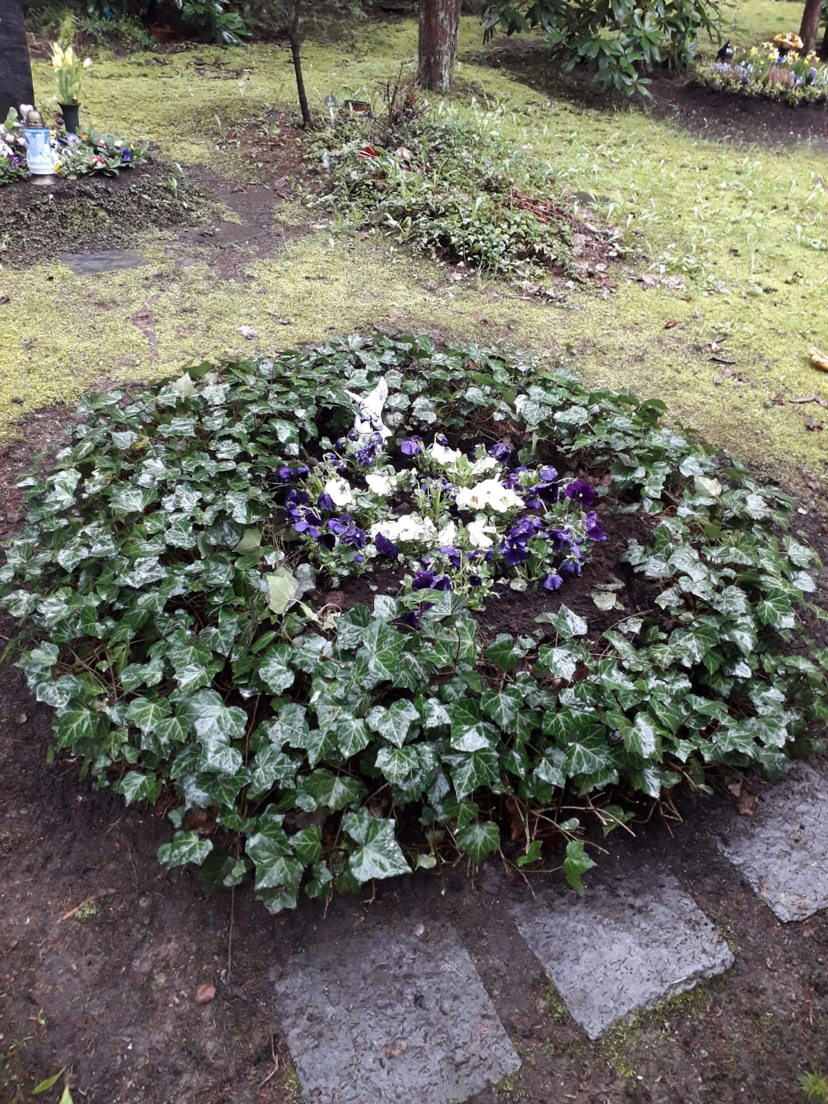 Beispielarbeit von Grünservice Steffen Packmohr - veröffentlicht auf Gartenbau.org