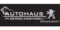 Logo der Firma Autohaus in Berggießhübel GmbH aus Bad Gottleuba-Berggießhübel auf dem Branchenportal Auto-Werkstatt.de