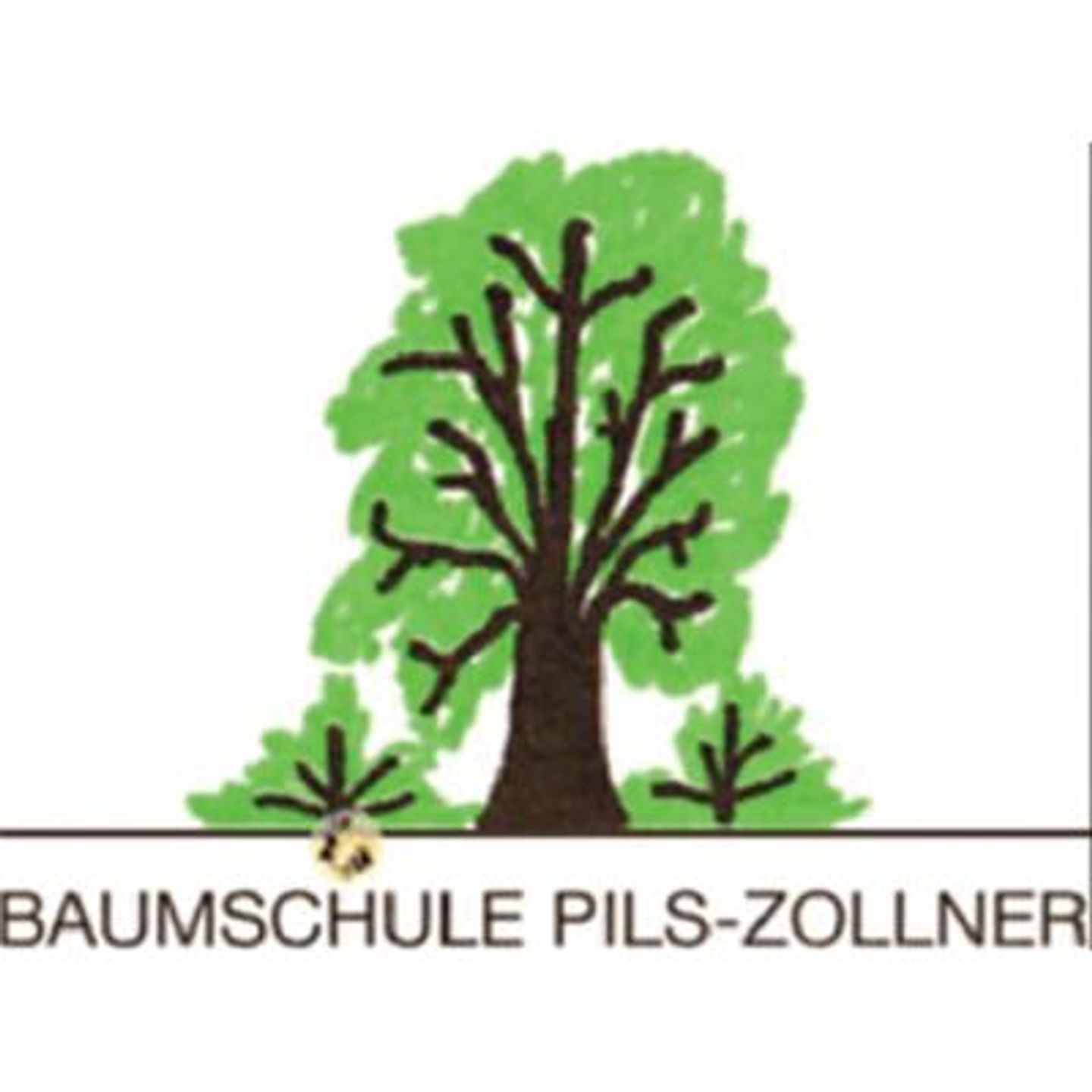 Logo der Firma Baumschule Pils aus Wang auf dem Branchenportal Gartenbau.org