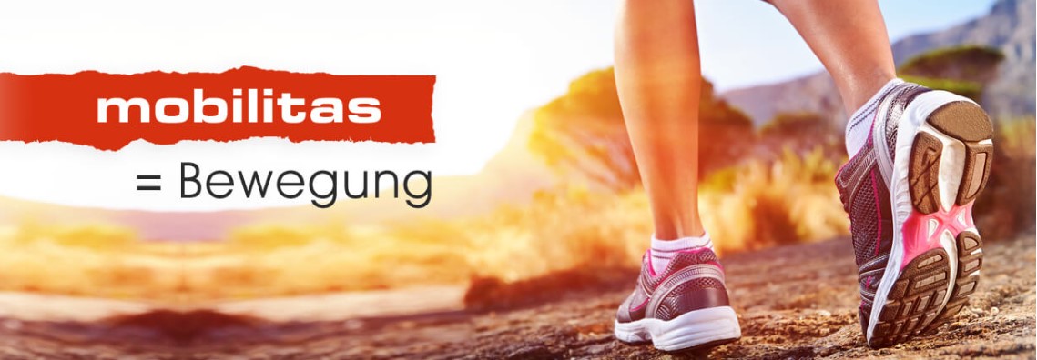 Physiotherapie mobilitas GmbH cover image