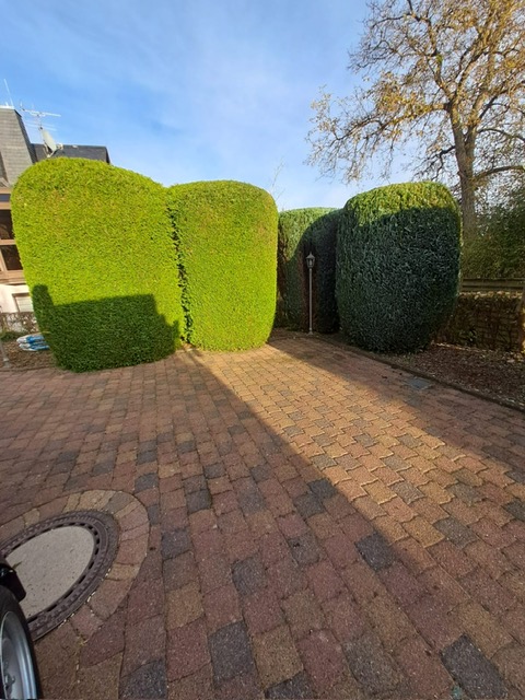 Beispielarbeit von GGL Dienstleistungs GmbH Gebäude, Garten- und Landschaftsservice - veröffentlicht auf Gartenbau.org