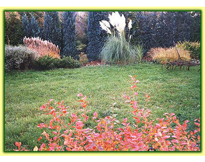 Beispielarbeit von ""Flora passionata'''' - veröffentlicht auf Gartenbau.org