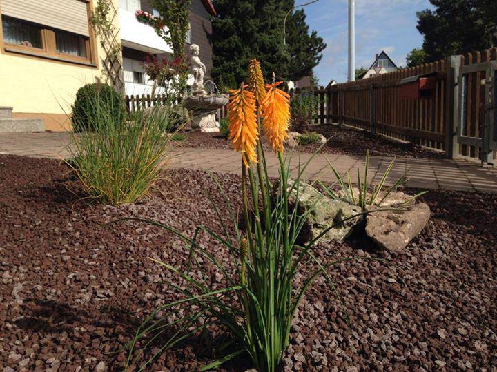 Beispielarbeit von Hartmann Garten- und Landschaftsbau GmbH - veröffentlicht auf Gartenbau.org
