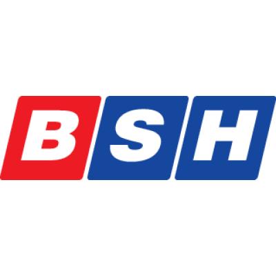 Logo der Firma BSH Tischendorf aus Kurort Seiffen auf dem Branchenportal Sanitaer.org