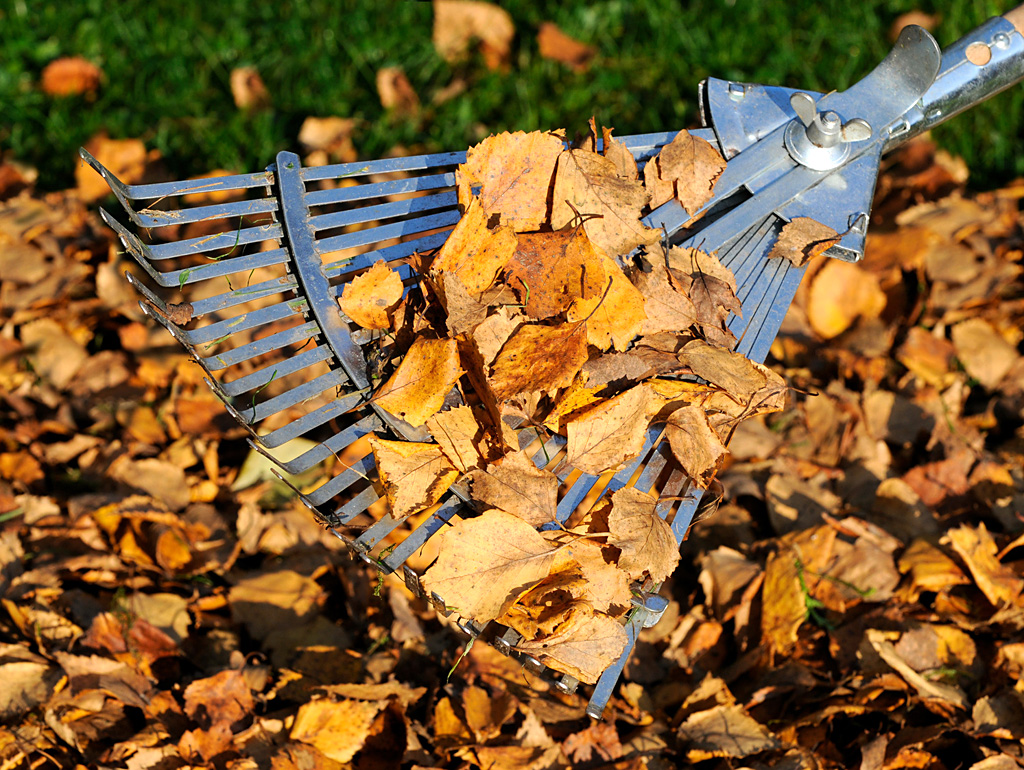 Beispielarbeit von KS LandService GmbH - veröffentlicht auf Gartenbau.org