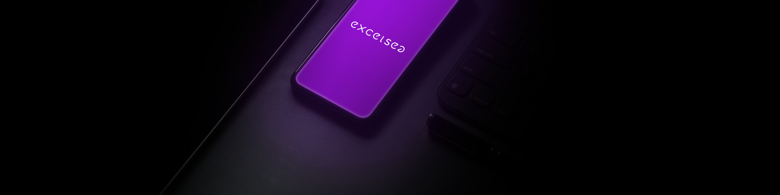 Excelsea cover image