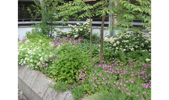 Beispielarbeit von Kaiser Klaus, Dipl.-Ing. - veröffentlicht auf Gartenbau.org