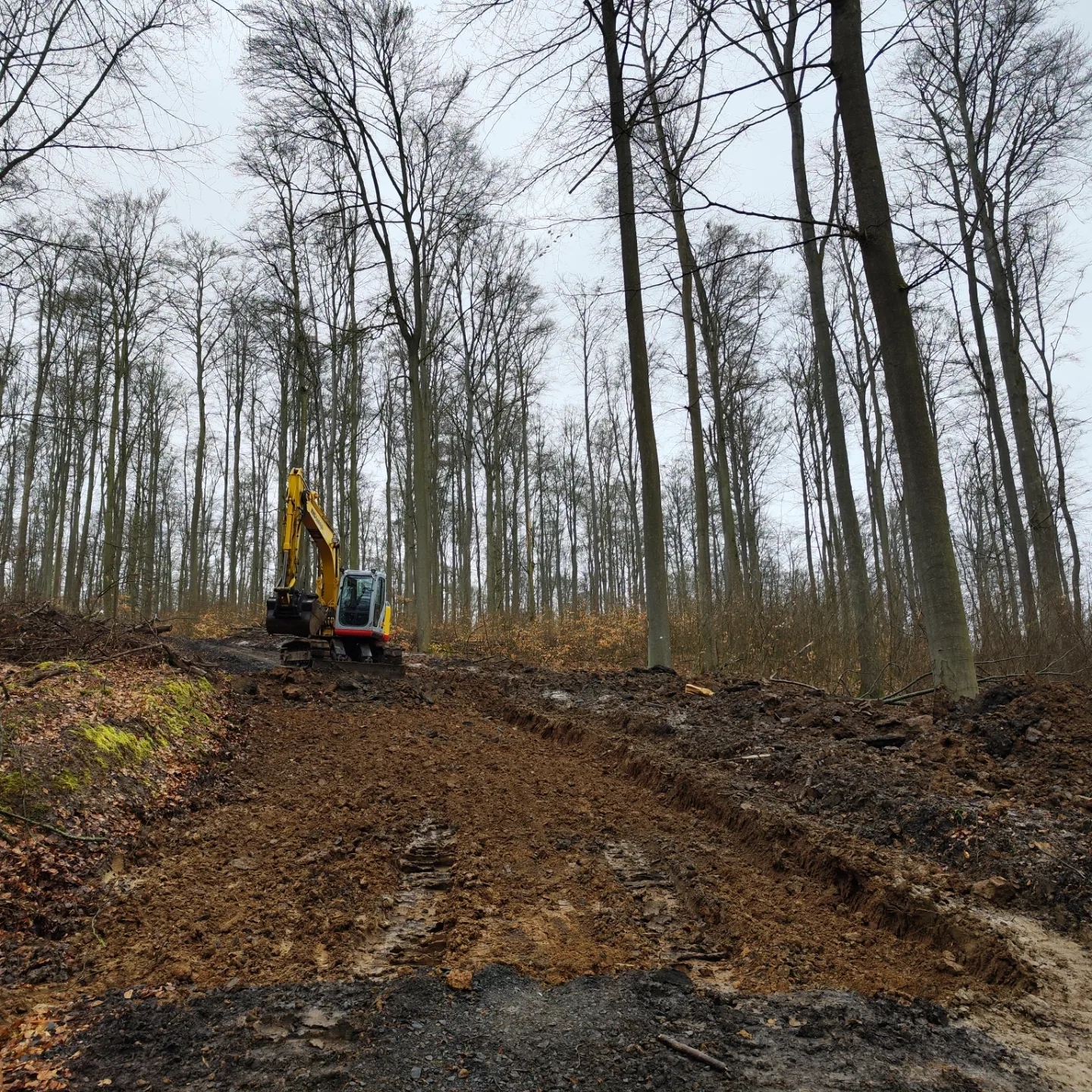 Beispielarbeit von Baggerbetrieb Wagener - veröffentlicht auf Gartenbau.org